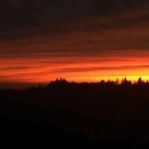 Meet your Posher, Trinity